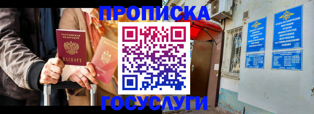 прописка гарантия в Новозыбкове